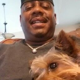 Profile Picture of ollie scott (@scottollie60) on Pinterest