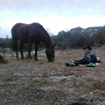 Profile Picture of Felipe Casanova (@casanova_320) on Instagram