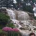 Profile Picture of Paula Gundermann (@knitterpaula) on Pinterest