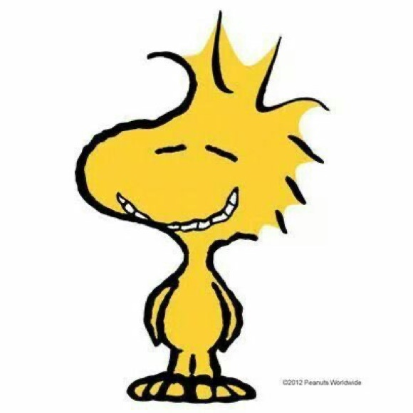 Profile Picture of Jian Yang (@jianyang) on Poshmark