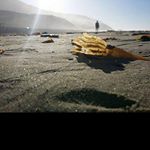 Profile Picture of amanda_hannula (@amanda_hannula) on Instagram