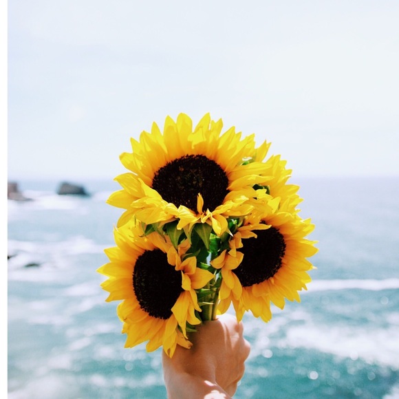 Profile Picture of Abril Blanco (@abrilb1708) on Poshmark