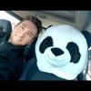 Profile Picture of David Koval (@@davidkoval8) on Tiktok