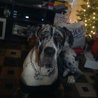 Profile Picture of Sadie Keller (@Sadie-Keller) on Facebook