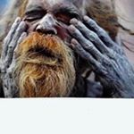 Profile Picture of Robert A. Kloepfer (@tigerblue777) on Instagram