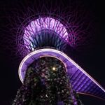 Profile Picture of Chao Cheng (@chao.photo) on Instagram