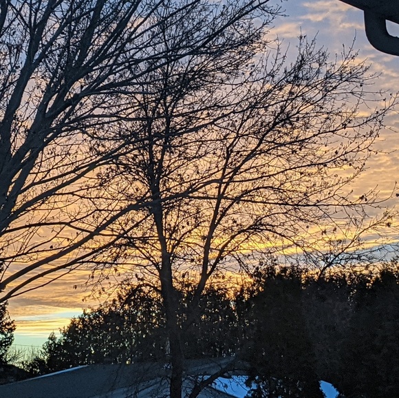 Profile Picture of Keek D (@keeks1060) on Poshmark