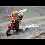 Profile Picture of laura_zheng (@laura_zheng) on Instagram