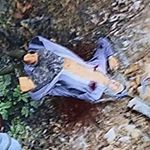 Profile Picture of sam hunter (@carl_briggsnnn) on Instagram