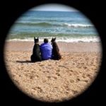 Scott Hillenbrand - Instagram Profile Picture of Scott Hillenbrand (@smh_metal_ti22) on Instagram