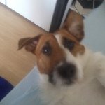 Profile Picture of Erik Boman (@erik.boman) on Instagram