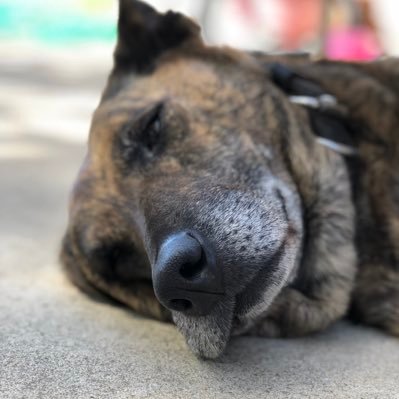 Profile Picture of Alexander Wren (@alex_wren1813) on Twitter