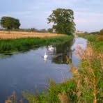 Profile Picture of Barry Trout (@Barry-Trout) on Facebook