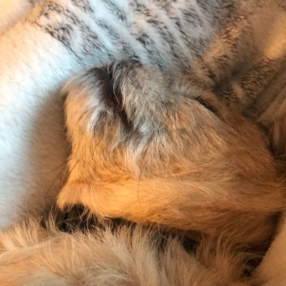 Profile Picture of Lorraine Klemens (@lklemens) on Poshmark