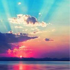 Profile Picture of Pamela Hale (@pommy54) on Twitter