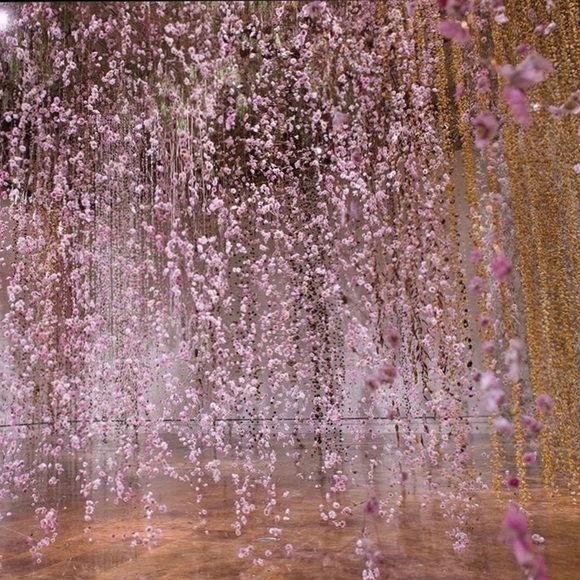 Profile Picture of Itzel Silvas (@iam_itzel) on Poshmark