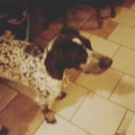 Profile Picture of kyle baer (@kyle8955) on Instagram
