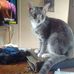Profile Picture of Clarice McNeal (@clarice.mcneal.391) on Facebook