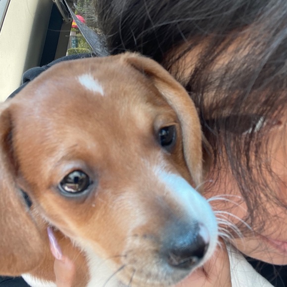 Profile Picture of Rosa Prieto (@rosaaa_p) on Poshmark