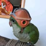 Profile Picture of Mouhssine Mahboub (@Mouhssine-Mahboub) on Facebook