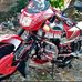 Profile Picture of Alex Moisa (@alex.moisa.186) on Facebook
