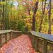 Profile Picture of Jean McCall (@jeanmccall) on Pinterest