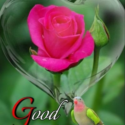 Profile Picture of Abhijit Bhattacharya (@Abhijit09457986) on Twitter