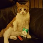 Profile Picture of Craig Vetter (@craig.vetter.50) on Instagram