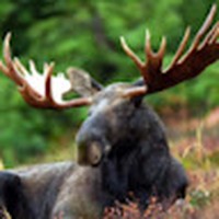 Adam Sylvia - Quora Profile Picture of Adam Sylvia (@adam-sylvia-4) on Quora