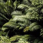 Profile Picture of Cassandra Bradbury (@cassiebbrad) on Instagram