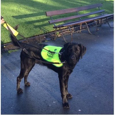 Profile Picture of Paula Reardon (@reardonpb) on Twitter