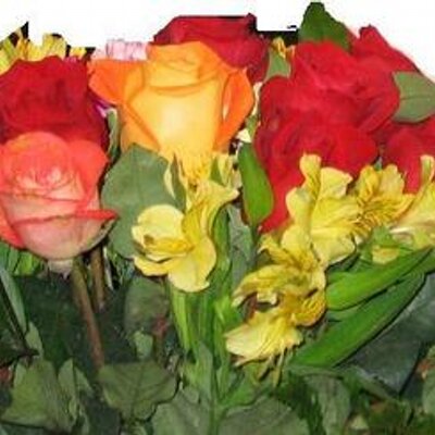 Profile Picture of David Davoudi (@David_Davoudi) on Twitter