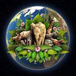 Profile Picture of Robin Allen Gjerde (@earthdayglobal1) on Instagram