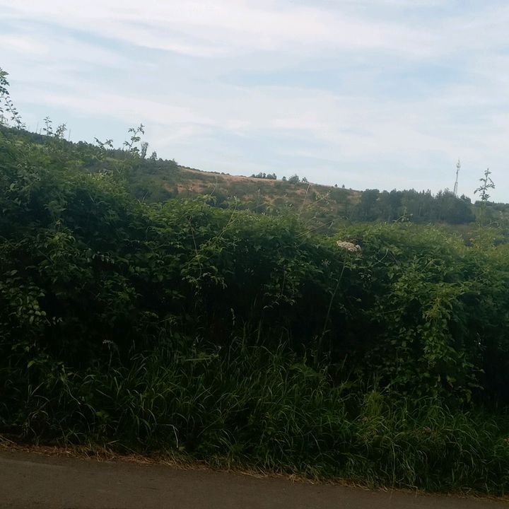 Profile Picture of uli344455 (@michael.gossen3) on Tiktok