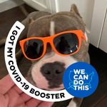 Benjamin Defonce - Instagram Profile Picture of Benjamin Defonce (@prestigeauto09) on Instagram