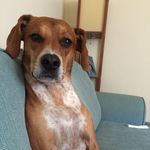 Profile Picture of Stella Wolfe (@stellabooo) on Instagram