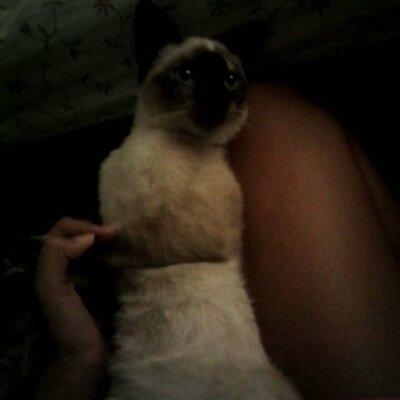 Profile Picture of Luz Angie Estevez (@luz2005eiza) on Twitter