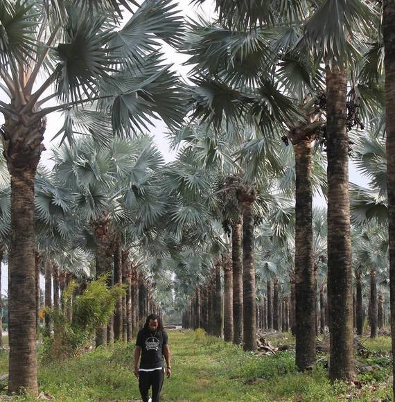 Profile Picture of Charles Mack (@doncannon1) on Poshmark