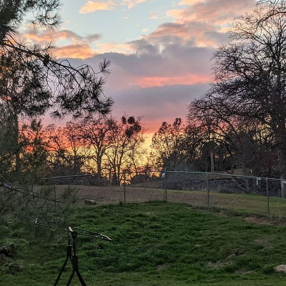 Profile Picture of Nancy Copeland (@lillylivelove) on Poshmark