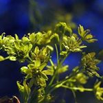 Profile Picture of Kim Nilson (@kim_nilson) on Instagram