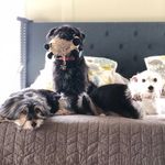 Profile Picture of Stanley, Franklin & Elliott (@stanleyandfranklin) on Instagram