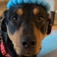 Profile Picture of Chloe Pattison-conrad (@chloe-pattison-conrad) on Quora