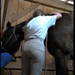 Profile Picture of Alyssa Cummings (@Alyssa-Cummings) on Facebook