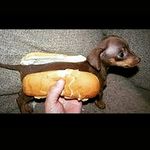 Profile Picture of STEVEN HENKEL (@steven_henkel21) on Instagram