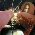 Profile Picture of Adam Hanks 1971 (@rare_slim_shady_tapes) on Instagram