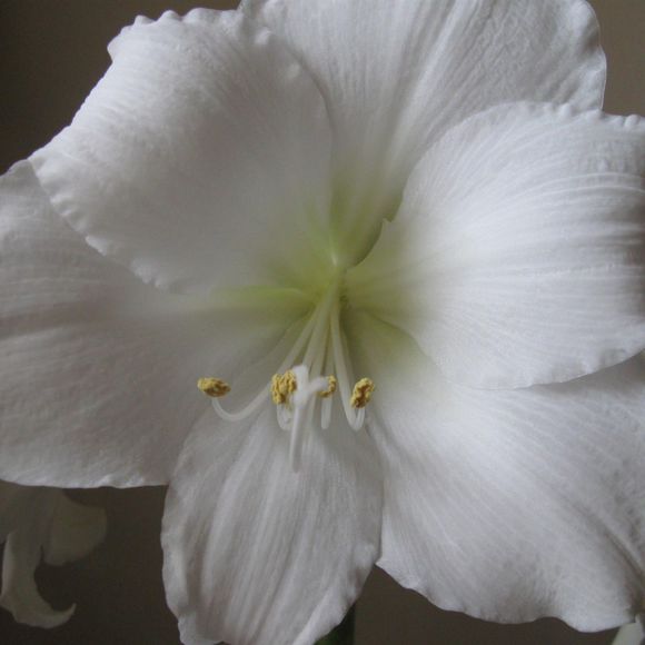 Profile Picture of Anna maria Anderson olsson (@userann2770) on Poshmark