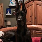 Profile Picture of Lisa Simonik-Glogowski (@lmglogowski) on Instagram