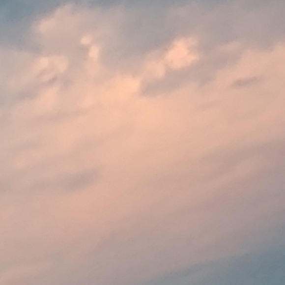 Profile Picture of June Whitbeck (@junewhitbeck) on Poshmark