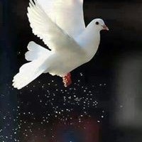 Profile Picture of Joanna Felix (@joanna-felix-1) on Quora