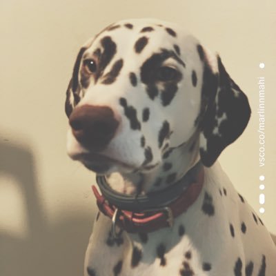 Profile Picture of Alex Mathis (@AlexMathis19) on Twitter